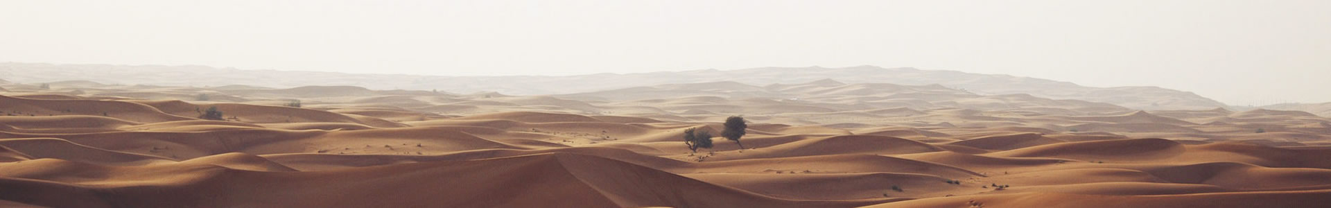 ϺεӿƼ޹˾